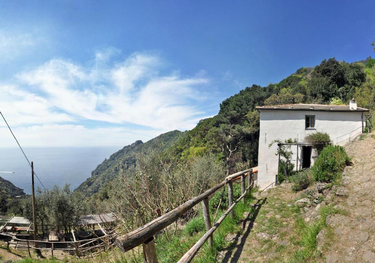 Villa Agririfugio Molini à Camogli Extérieur photo